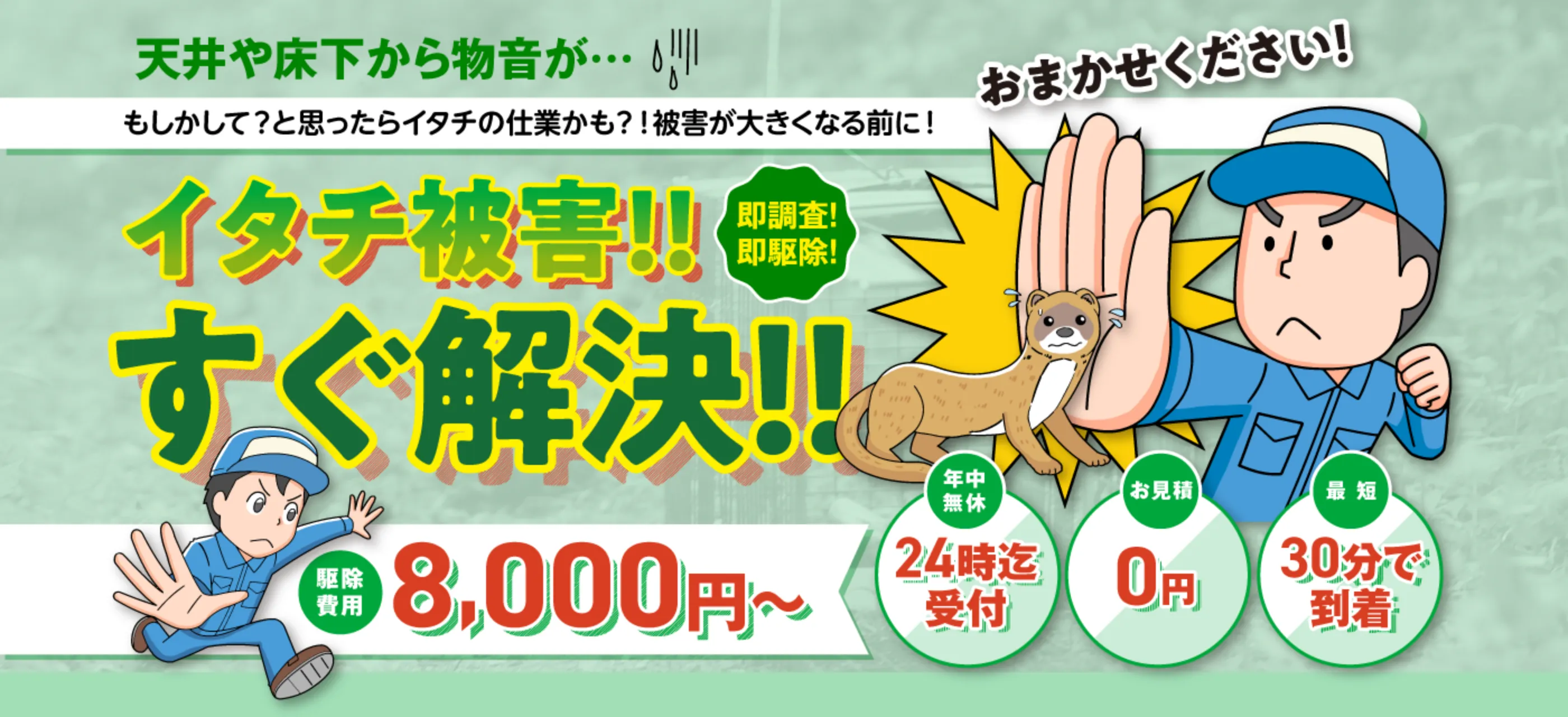 イタチ被害!!すぐ解決!!おまかせください!