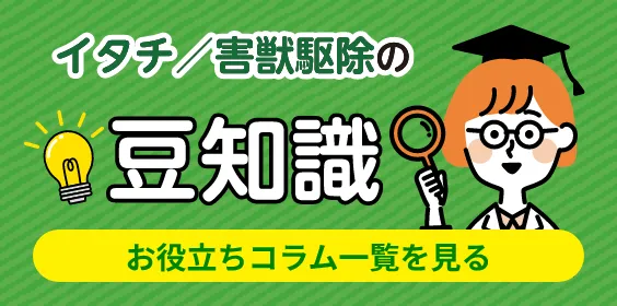 イタチ/害獣駆除の豆知識