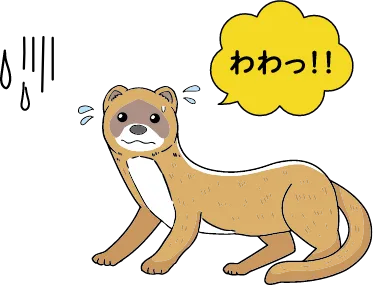 イタチ被害の証拠